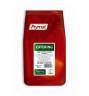 Kmin rzymski (Kumin) mielony - 800g (Prymat Catering (Gastroline)) - kliknij, aby powi�kszy�