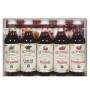 Mały zestaw syropów do deserów - 5 szt. x 50 ml