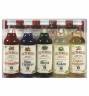 Mały zestaw syropów do drinków - 5 szt. x 50 ml